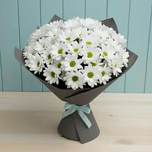 Букет цветов из:  Хризантемы #REPLACE_PRED# Атепцево