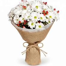 Букет цветов из:  Хризантемы #REPLACE_PRED# Атепцево